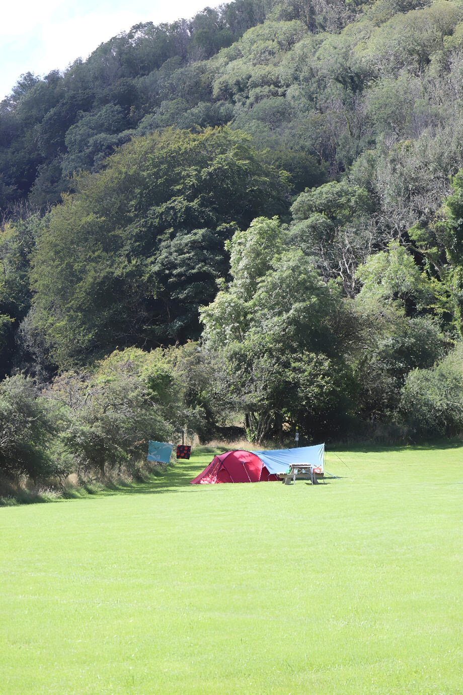 Dolor adipiscing elit