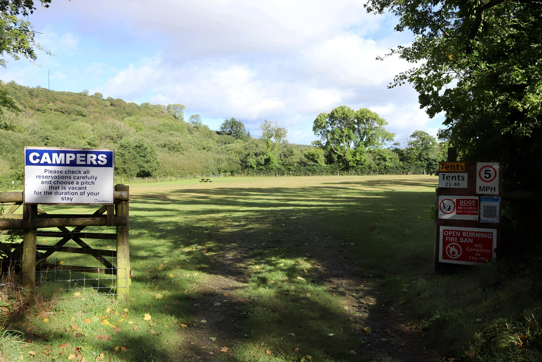 Viverra orci dapibus